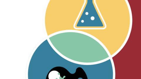 Yellow and blue circles in a venn diagram.