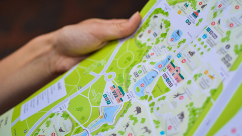 Green map of unknown area.