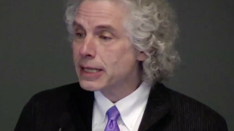 Steven Pinker